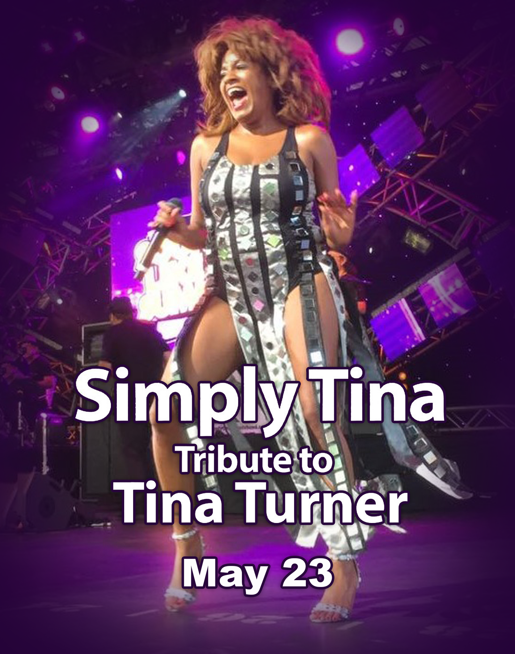 TinaTurner 2026 Web